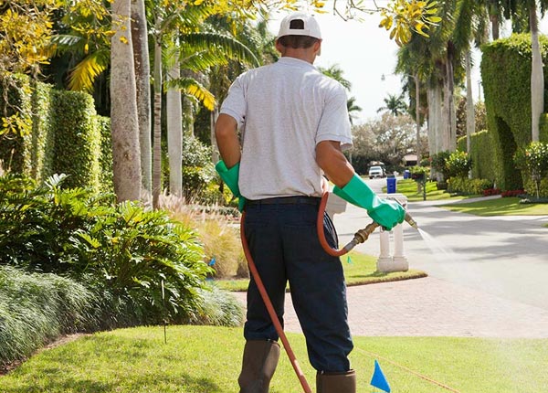 About La Palma CA Pest Control Pros